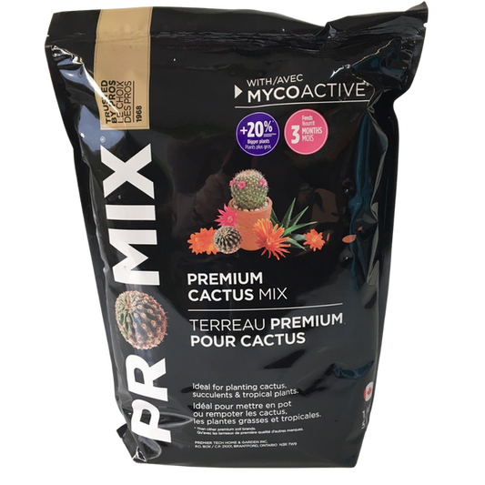 Premium Cactus Mix