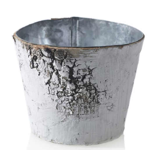 Birch Pot