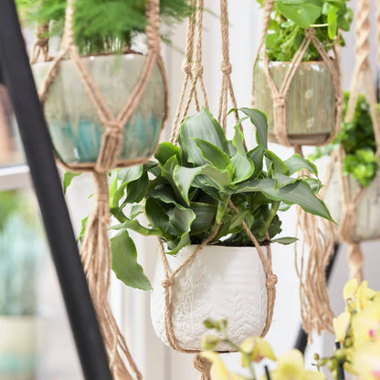 Macrame Plant Hangers