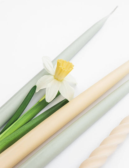 Ivory Danish Taper Candle | 12 Pack