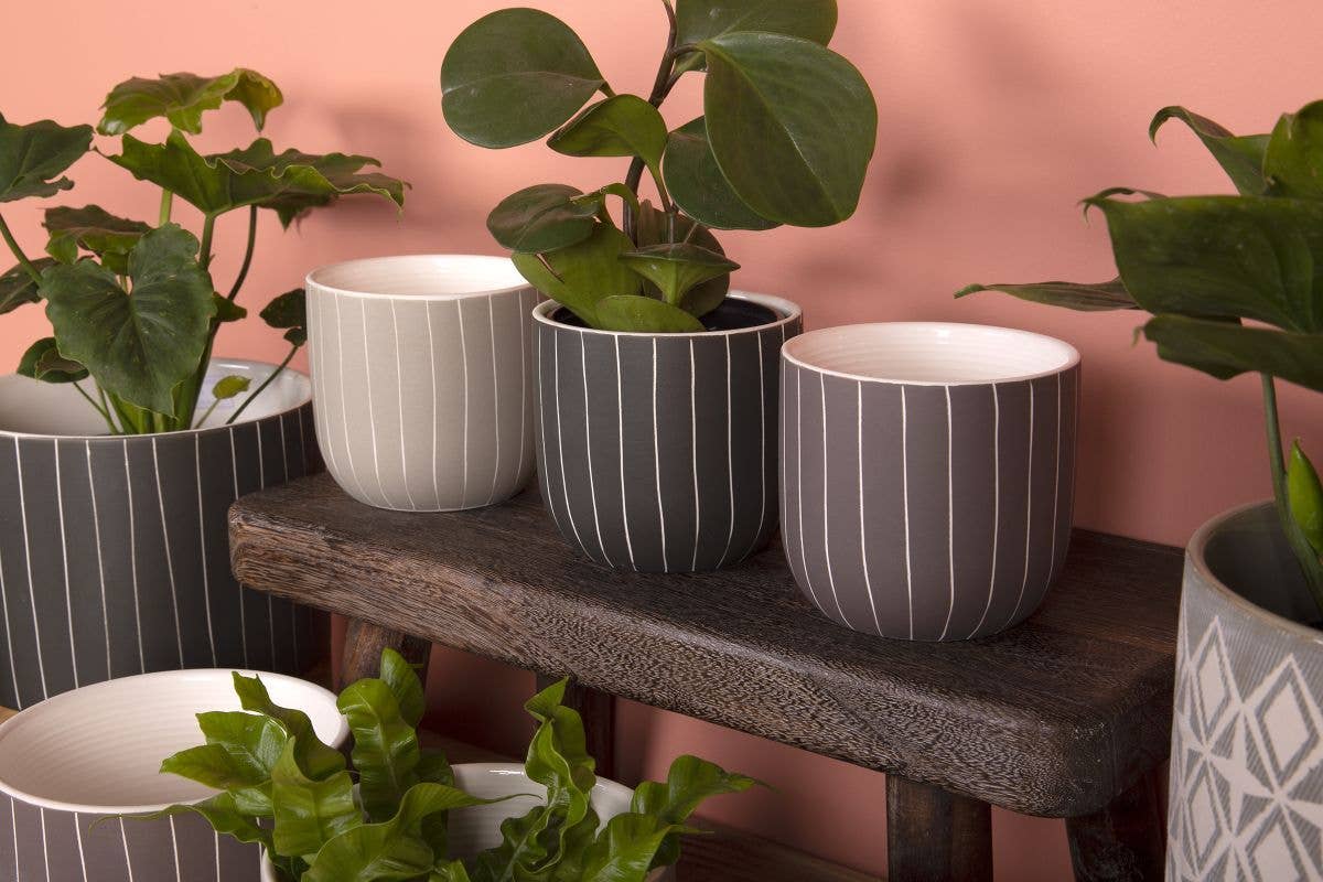 Round Pot With Vertical White Lines- 3 Assorted