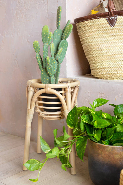RATTAN PLANT STAND