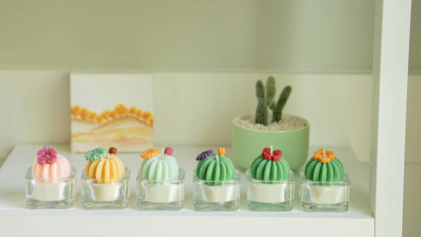 Barrel Cactus Tealight Candles | Soy Wax Blend