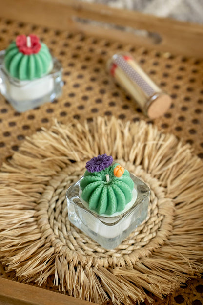 Barrel Cactus Tealight Candles | Soy Wax Blend