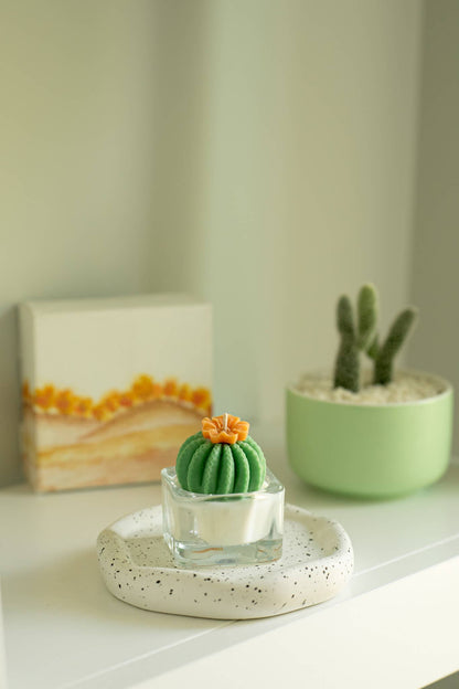 Barrel Cactus Tealight Candles | Soy Wax Blend