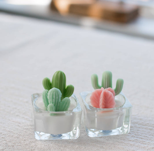 Cactus & Succulent Tealight Candles | Soy Wax Blend