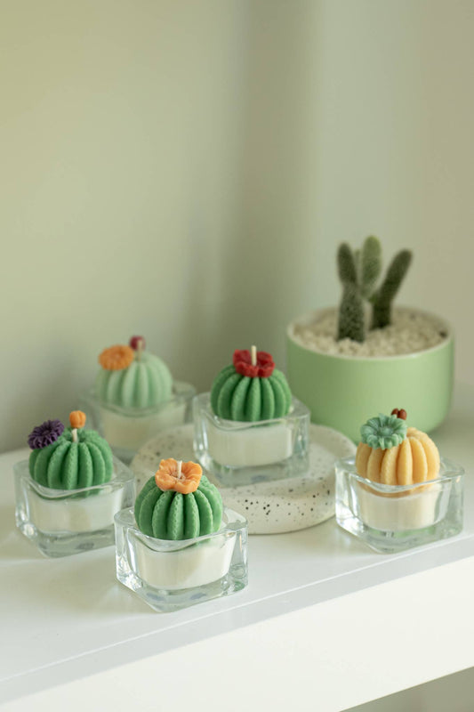 Barrel Cactus Tealight Candles | Soy Wax Blend