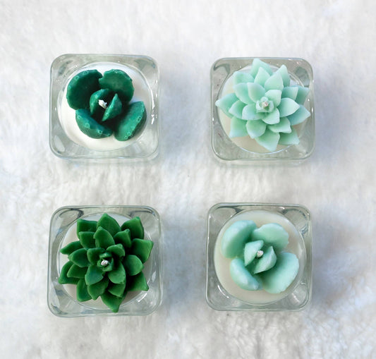 Succulent Tealight Candles | Soy Blend